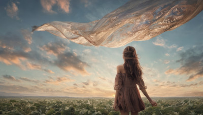 1girl, solo, long hair, brown hair, dress, bare shoulders, flower, outdoors, sky, cloud, from behind, dutch angle, cloudy sky, scenery, field