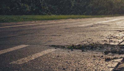 outdoors,blurry,tree,no humans,grass,scenery,rain,road,photo background,sky,day,shadow,ground vehicle,motor vehicle,puddle,path