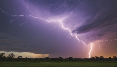 outdoors,sky,cloud,tree,no humans,cloudy sky,grass,nature,scenery,forest,sunset,electricity,lightning,landscape,purple sky