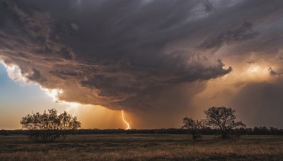 outdoors,sky,cloud,tree,no humans,cloudy sky,grass,nature,scenery,forest,sunset,sun,lightning,landscape,sunlight,mountain,electricity,field