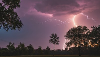 outdoors,sky,cloud,tree,no humans,cloudy sky,grass,nature,scenery,forest,sunset,electricity,bush,power lines,lightning,purple sky,dark