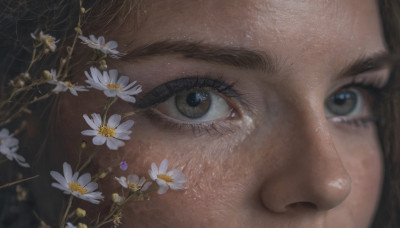 1girl, solo, looking at viewer, brown hair, brown eyes, closed mouth, flower, eyelashes, white flower, portrait, close-up, freckles, realistic, eye focus