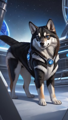 solo,looking at viewer,smile,blue eyes,full body,sky,no humans,night,animal,gem,star (sky),starry sky,dog,realistic,space,animal focus,planet,earth (planet),shiba inu,jewelry,standing,earrings,night sky,wolf