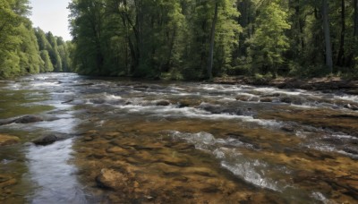 outdoors,day,water,tree,no humans,sunlight,grass,nature,scenery,forest,rock,river,stream,sky,cloud,signature,blue sky,realistic,landscape,shore