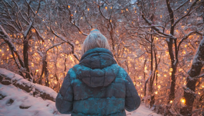 solo, outdoors, hood, from behind, tree, coat, bird, hood down, nature, scenery, snow, winter clothes, facing away, winter, bare tree, blue coat, owl