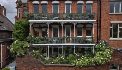 flower,outdoors,sky,day,cloud,tree,no humans,window,cloudy sky,grass,plant,building,scenery,stairs,door,railing,bush,house,lamppost,fence