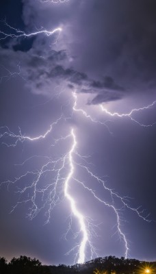 outdoors,sky,cloud,tree,no humans,night,cloudy sky,nature,night sky,scenery,forest,electricity,fireworks,lightning,flower,dark,landscape