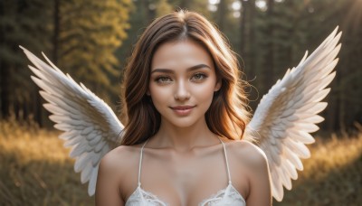 1girl,solo,long hair,breasts,looking at viewer,smile,brown hair,cleavage,bare shoulders,brown eyes,medium breasts,closed mouth,underwear,collarbone,upper body,outdoors,wings,bra,blurry,tree,lips,depth of field,blurry background,feathered wings,forehead,white bra,angel wings,realistic,white wings,angel,parted lips,sunlight,lace trim,lace