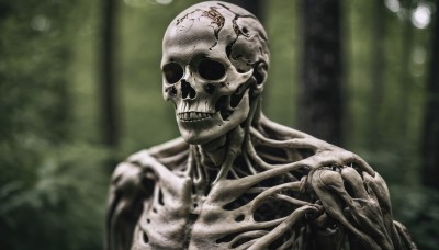 solo,looking at viewer,1boy,upper body,male focus,teeth,blurry,no humans,blurry background,1other,skull,monster,bald,skeleton,bone,alien,horror (theme),monochrome,depth of field,green background,realistic,green theme