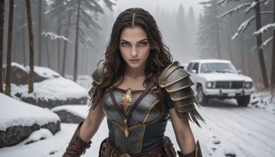 1girl,solo,long hair,breasts,looking at viewer,smile,blue eyes,brown hair,black hair,gloves,brown eyes,closed mouth,upper body,multicolored hair,outdoors,belt,dark skin,armor,blurry,two-tone hair,dark-skinned female,tree,lips,grey eyes,wavy hair,ground vehicle,shoulder armor,nature,motor vehicle,snow,brown gloves,forest,pauldrons,breastplate,snowing,realistic,car,brown belt,winter,pine tree,medium breasts,day,blurry background,grey sky