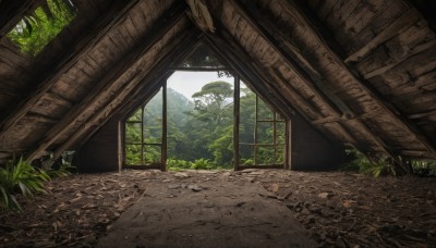 outdoors,day,tree,dutch angle,no humans,window,sunlight,grass,plant,nature,scenery,forest,ruins,moss,sky,indoors,signature,rock,landscape,overgrown