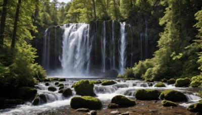 outdoors,day,water,tree,no humans,sunlight,nature,scenery,forest,rock,river,waterfall,moss,stream,bush,landscape