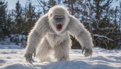 solo,looking at viewer,open mouth,red eyes,standing,outdoors,teeth,day,tongue,blurry,tree,pokemon (creature),no humans,blurry background,fangs,sharp teeth,nature,claws,snow,forest,realistic,white fur,winter,bare tree,animal,glowing eyes,monster