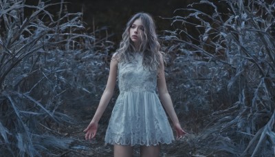 1girl,solo,long hair,looking at viewer,dress,standing,grey hair,cowboy shot,outdoors,parted lips,sleeveless,white dress,tree,lips,sleeveless dress,wavy hair,nature,forest,realistic,arms at sides,bare tree,white hair,night,dark