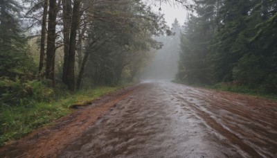 outdoors,day,tree,no humans,sunlight,grass,nature,scenery,forest,road,bush,landscape,path,sky,cloud,plant,realistic