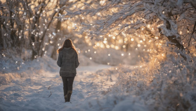 1girl, solo, long hair, brown hair, standing, boots, outdoors, pants, water, from behind, blurry, sweater, tree, depth of field, black pants, scenery, snow, walking, facing away, winter, bare tree, bokeh