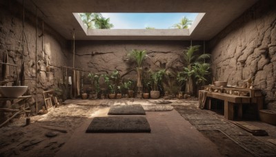 outdoors,sky,day,indoors,tree,blue sky,no humans,window,shadow,chair,table,sunlight,plant,scenery,potted plant,wall,ruins,shelf,flower pot,door,wood