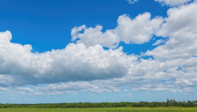 outdoors,sky,day,cloud,tree,blue sky,no humans,cloudy sky,grass,nature,scenery,forest,field,landscape,summer,cumulonimbus cloud