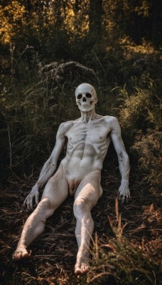 solo,looking at viewer,smile,1boy,navel,sitting,nipples,full body,male focus,nude,penis,tree,pubic hair,completely nude,muscular,colored skin,abs,testicles,pectorals,muscular male,skull,bald,grey skin,ribs,skeleton,flaccid,horror (theme),no humans,uncensored,grass,veins,realistic,dark,fine art parody