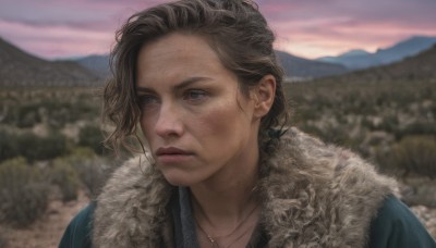 1girl,solo,short hair,blue eyes,brown hair,jewelry,closed mouth,upper body,outdoors,necklace,mole,blurry,lips,looking to the side,fur trim,blurry background,looking away,portrait,freckles,mountain,realistic,nose,looking afar,black hair,brown eyes,sky,grey eyes,depth of field,scar,expressionless,fur collar,blue coat