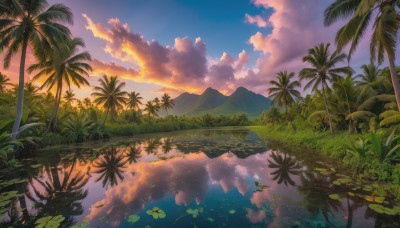 outdoors, sky, cloud, water, tree, no humans, cloudy sky, grass, plant, nature, scenery, reflection, sunset, mountain, palm tree, lake, reflective water