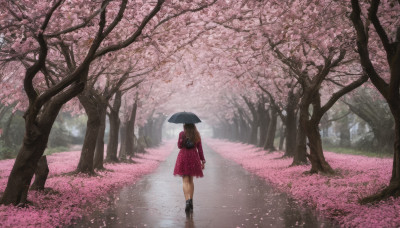 1girl, solo, long hair, brown hair, dress, boots, outdoors, bag, from behind, tree, petals, umbrella, cherry blossoms, scenery, walking, road, path