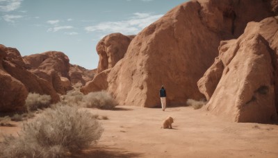 solo,1boy,standing,jacket,male focus,outdoors,sky,day,pants,cloud,bag,from behind,blue sky,backpack,scenery,1other,walking,rock,mountain,white pants,sand,wide shot,ambiguous gender,desert,cliff,shirt,black hair,hood,hoodie,animal,dog