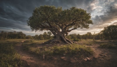 outdoors,sky,day,cloud,tree,no humans,sunlight,cloudy sky,grass,nature,scenery,forest,road,bush,landscape,path,plant,light rays,rock