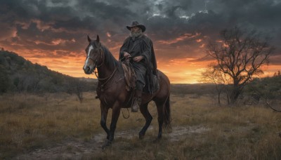 solo,1boy,hat,grey hair,male focus,outdoors,sky,cloud,cape,tree,facial hair,animal,cloudy sky,grass,scenery,beard,sunset,riding,field,old,horse,old man,cane,horseback riding,reins,boots,mustache,bare tree,saddle