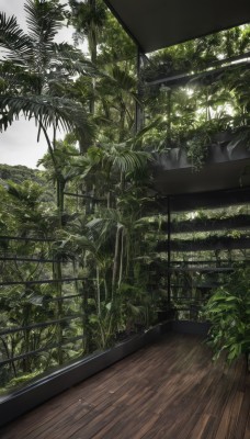 outdoors,day,tree,no humans,leaf,sunlight,plant,nature,scenery,forest,wooden floor,sky,cloud,indoors,window,potted plant,overgrown