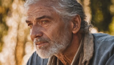 solo,1boy,brown eyes,closed mouth,yellow eyes,upper body,white hair,grey hair,male focus,japanese clothes,blurry,blurry background,facial hair,scar,portrait,beard,realistic,mustache,manly,old,old man,wrinkled skin,lips,looking to the side,depth of field,close-up,nose,looking afar