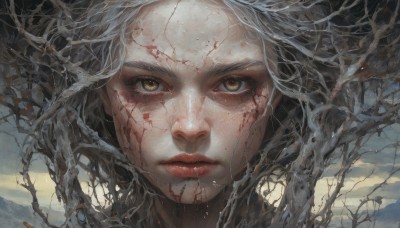 1girl,solo,looking at viewer,brown eyes,closed mouth,yellow eyes,white hair,grey hair,outdoors,sky,day,cloud,tree,lips,eyelashes,blood,portrait,close-up,blood on face,realistic,straight-on,bare tree,long hair,floating hair,expressionless,cloudy sky,plant,wind,messy hair,freckles,serious,mountain,branch,vines