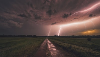 outdoors,sky,cloud,tree,no humans,cloudy sky,grass,nature,scenery,mountain,electricity,field,lightning,landscape,forest,sunset