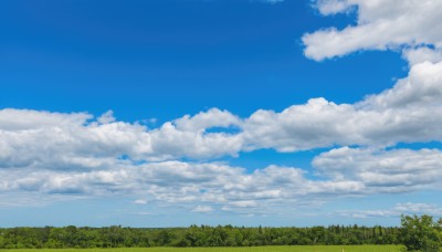 outdoors,sky,day,cloud,tree,blue sky,no humans,cloudy sky,grass,nature,scenery,forest