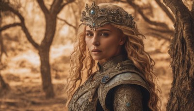 1girl,solo,long hair,looking at viewer,blue eyes,blonde hair,brown eyes,closed mouth,upper body,outdoors,armor,blurry,tree,lips,blurry background,wavy hair,crown,shoulder armor,gem,portrait,nature,forest,breastplate,realistic,curly hair