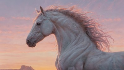 solo,outdoors,sky,cloud,signature,black eyes,from side,no humans,profile,animal,scenery,sunset,mountain,realistic,horse,twilight,evening,gradient sky,sunrise,cloudy sky,animal focus