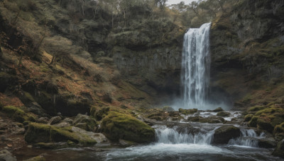 outdoors, water, tree, no humans, nature, scenery, forest, rock, river, waterfall, landscape, stream