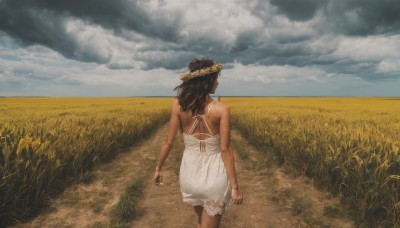 1girl,solo,long hair,brown hair,black hair,dress,bare shoulders,standing,flower,outdoors,sky,day,cloud,dark skin,from behind,white dress,dark-skinned female,halterneck,back,cloudy sky,grass,scenery,walking,realistic,arms at sides,facing away,head wreath,field,jewelry,bracelet,blue sky,horizon