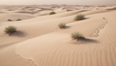 outdoors,sky,day,water,tree,no humans,blood,beach,nature,scenery,mountain,sand,road,landscape,desert,grass,plant