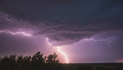 outdoors,sky,cloud,tree,no humans,cloudy sky,grass,nature,scenery,forest,electricity,lightning,landscape,purple sky,monochrome,night,dark