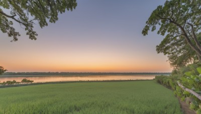 outdoors,sky,cloud,tree,blue sky,no humans,grass,plant,nature,scenery,sunset,road,bush,evening,gradient sky,orange sky,path,hill,day,leaf,horizon,branch,field,river,landscape