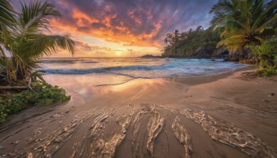 outdoors, sky, cloud, water, tree, dutch angle, no humans, ocean, beach, cloudy sky, nature, scenery, sunset, sand, palm tree, horizon, shore