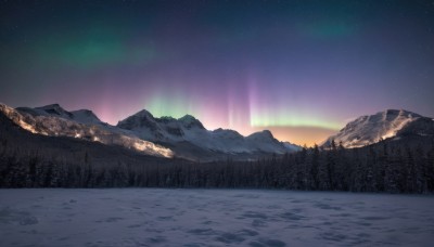 outdoors,sky,tree,no humans,night,star (sky),nature,night sky,scenery,snow,forest,starry sky,mountain,winter,landscape,mountainous horizon,aurora,cloud,gradient sky