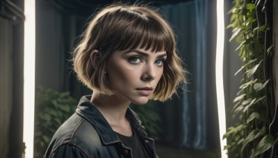 1girl,solo,looking at viewer,short hair,bangs,brown hair,shirt,brown eyes,jewelry,closed mouth,jacket,upper body,earrings,outdoors,parted lips,day,blurry,tree,lips,black shirt,depth of field,blurry background,leaf,bob cut,plant,denim,messy hair,portrait,freckles,realistic,nose,leather,leather jacket,denim jacket,open clothes,blunt bangs,open jacket,eyelashes,sunlight,blue jacket