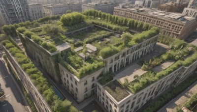 outdoors,day,tree,no humans,window,from above,grass,ground vehicle,building,scenery,motor vehicle,stairs,city,railing,car,ruins,bridge,moss,overgrown,post-apocalypse,road,cityscape,skyscraper