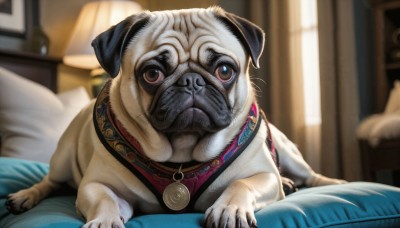 HQ,solo,looking at viewer,brown eyes,jewelry,lying,indoors,necklace,blurry,collar,pillow,no humans,window,bed,depth of field,blurry background,animal,on bed,cat,curtains,dog,realistic,lamp,bedroom,animal focus,closed mouth,clothed animal