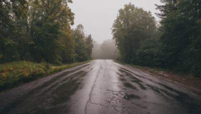 outdoors,sky,day,tree,no humans,grass,nature,scenery,forest,road,bush,street,path,cloud,plant,realistic,landscape