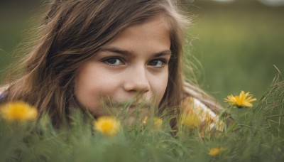 1girl,solo,long hair,looking at viewer,brown hair,brown eyes,flower,outdoors,blurry,lips,grey eyes,eyelashes,depth of field,blurry background,grass,portrait,close-up,freckles,realistic,yellow flower,nose,field,dandelion,lying,day,artist name,signature,on stomach