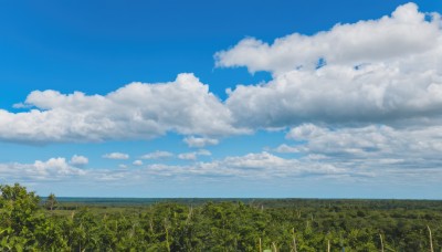 outdoors,sky,day,cloud,tree,blue sky,no humans,cloudy sky,grass,plant,nature,scenery,forest,horizon,field,summer,landscape