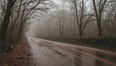 outdoors,day,tree,no humans,grass,nature,scenery,forest,road,bare tree,fog,path,sky,cloud,leaf,realistic,bush,street,landscape